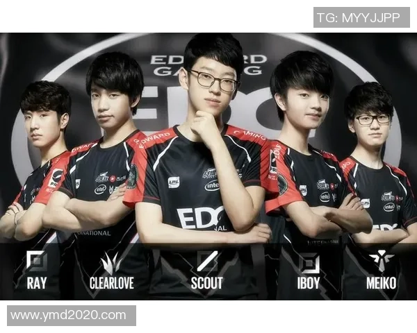 V5战队团队协作分析与战术配合深度探讨