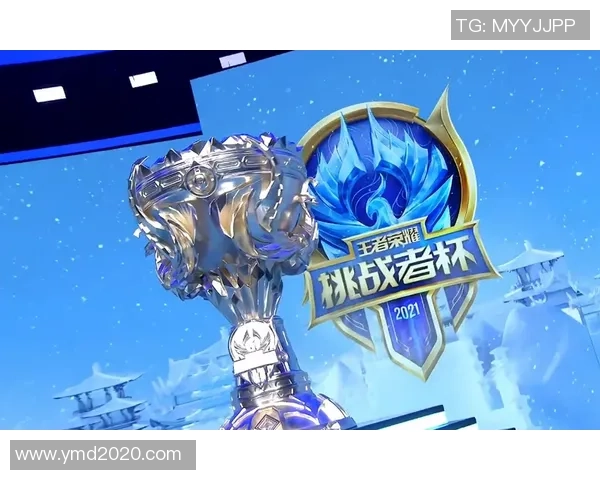 WE团队协作在挑战者杯中的精彩表现分析与点评