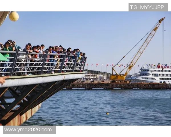 杭州滑板队运营革新之路:探索新模式与未来发展潜力分析 杭州滑板队运营革新之路:探索新模式与未来发展潜力分析