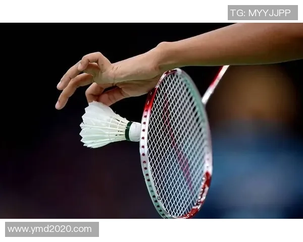 杭州羽毛球队引领最新羽毛球战术十大趋势解析与应用技巧分享