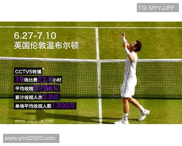 网球盛宴：深入解析北京网球队的战术布局与训练秘诀