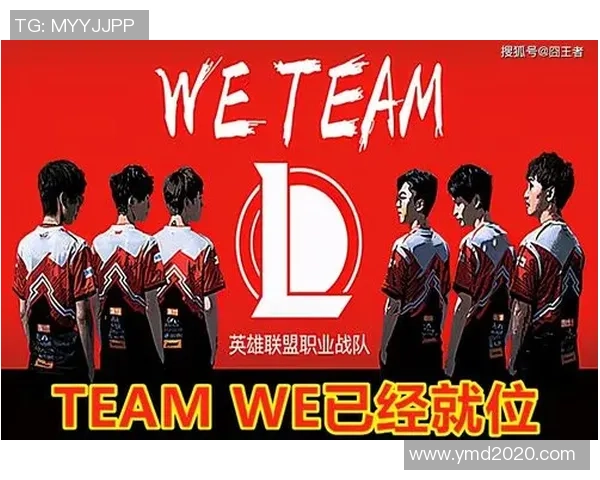 英雄联盟深度解析：WE战队默契配合背后的秘密与策略